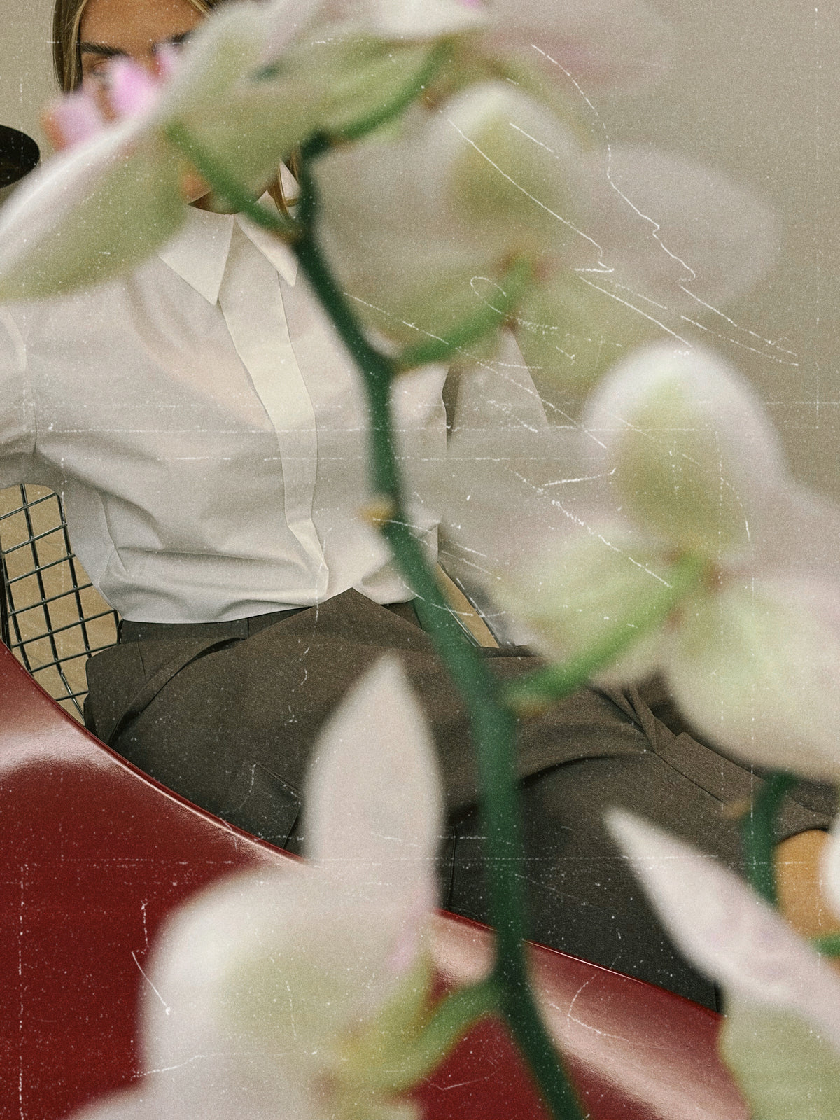 Professional White