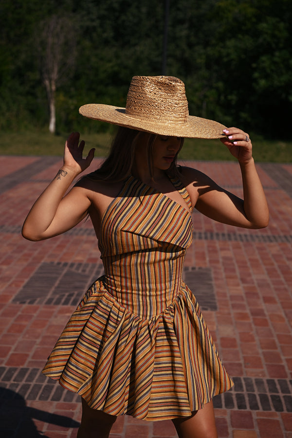 Raya (Multicolor) - Dress